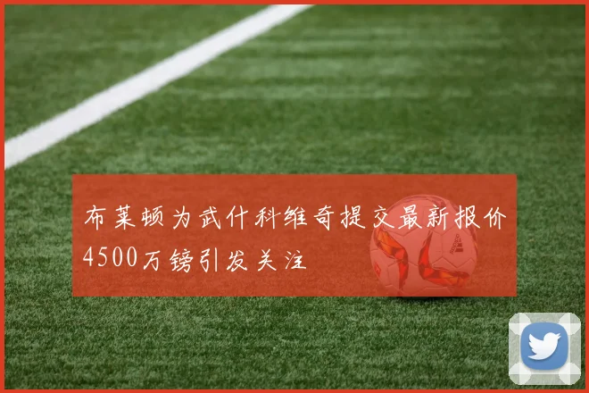 布莱顿为武什科维奇提交最新报价4500万镑引发关注
