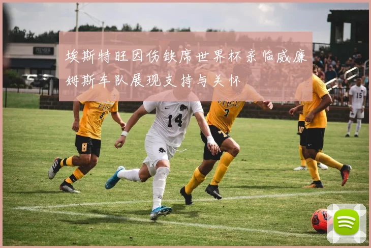 埃斯特旺因伤缺席世界杯亲临威廉姆斯车队展现支持与关怀