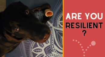 Are You Resilient? Part 1