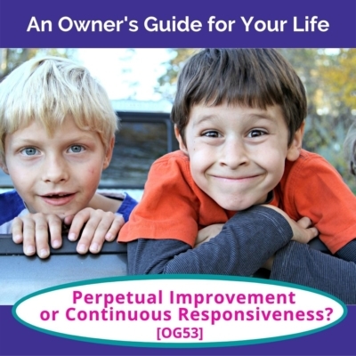 Perpetual Improvement or Continuous Responsiveness?